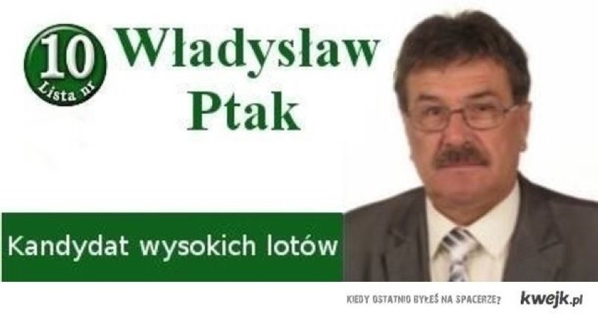 Wybory 2014. Dziwne i śmieszne plakaty tegorocznej kampanii wyborczej [NOWE]