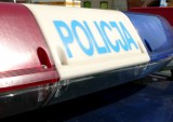 Wypadek w Dołhobrodach: 20-letni kierowca osobówki uderzył w drzewo