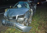 Wypadek w Bałdowie: kierowca próbował ominąć sarnę... [ZDJĘCIE]