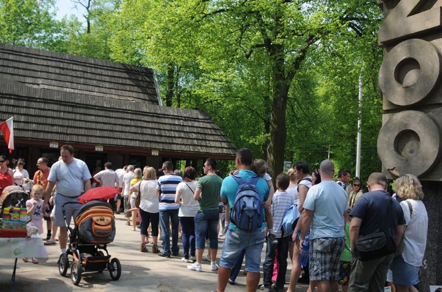 W Łodzi zoo i "botanik" odwiedziła rekordowa liczba odwiedzających