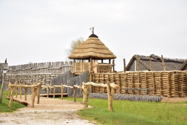 Tak obecnie (kwiecień 2021) wygląda nowa wieża bramna w Muzeum Archeologicznym w Biskupinie.