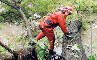 Wiosenna powódź zniszczyła w Bieruniu tysiące drzew