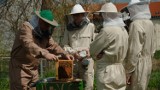 Projekt „Pszczoły karpackie – nasi dobrodzieje w Zespole Szkół Centrum Kształcenia Rolniczego w Nowosielcach [ZDJĘCIA, WIDEO]
