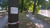 W parku Belzackim jest niebezpiecznie! Zamiast rewitalizacji... zakaz wstępu