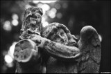 Plener na Starym Cmentarzu w Rzeszowie - Tradycyjnie czyli Analogowo