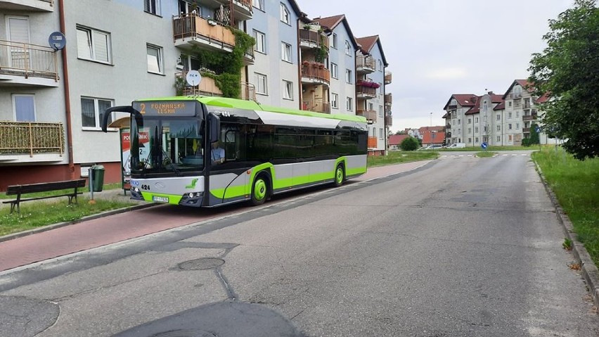 Nowe autobusy wyjechały na ulice Piły [ZDJĘCIA]