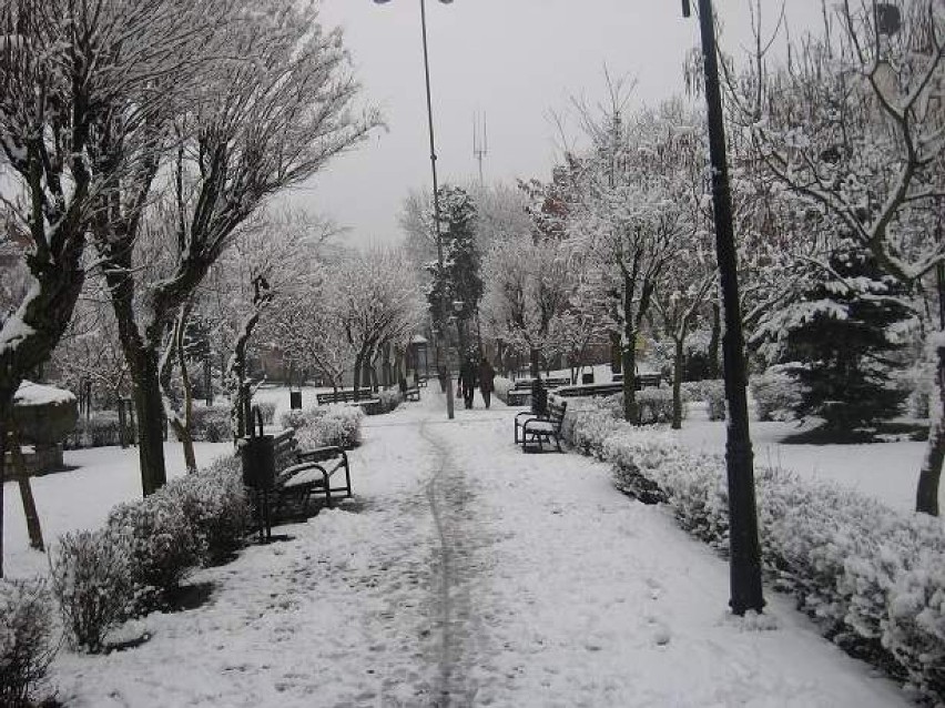 Zima w Nowej Soli (zdjęcia)