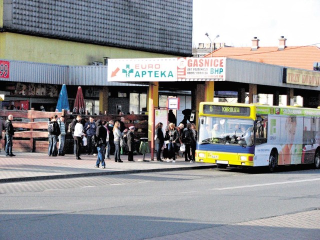 Wielu pabianiczan pyta w urzędzie o szkolenia na zawodowych kierowców, ale w tym roku PUP takich nie organizuje.