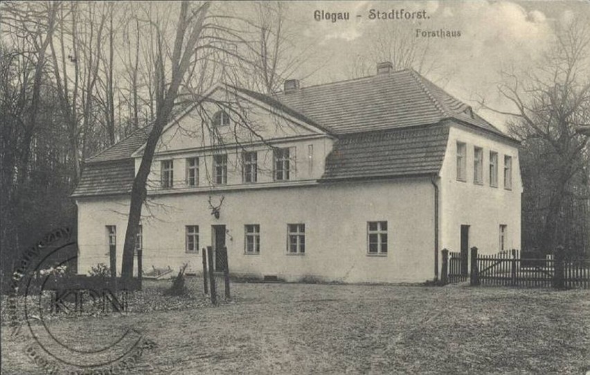 Lata 1915-1916 , Leśniczówka w Leśnej Dolinie w 1916 roku.