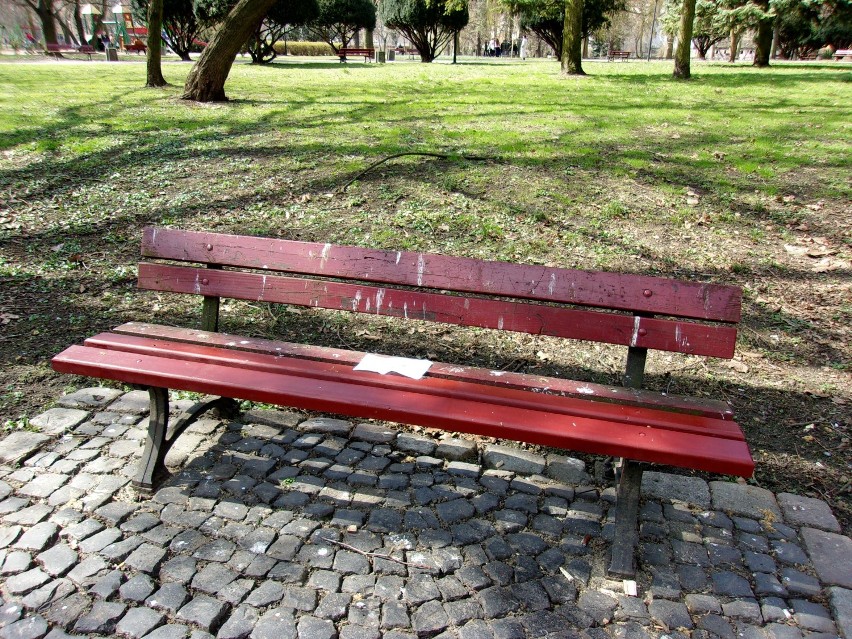 Wybiórcze malowanie ławek w Parku Wiosny Ludów