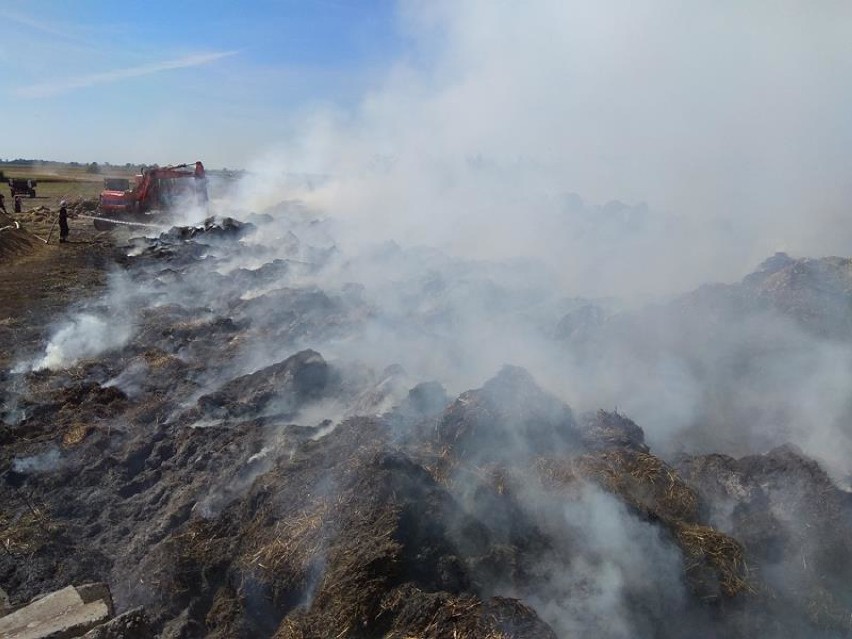Pożar siana w Sokołowie Budzyńskim. Ogień wybuchł około północy, trwa jego dogaszanie