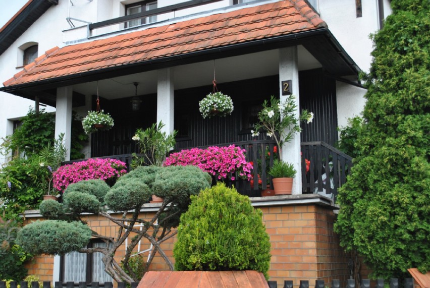 W Ciechocinku nagrodzą najlepiej ukwiecone balkony i ogródki. Zobacz najpiękniejsze kompozycje poprzedniej edycji konkursu [zdjęcia]