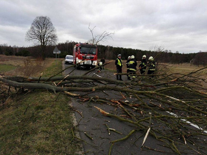 Strażacy interweniowali podczas wichury