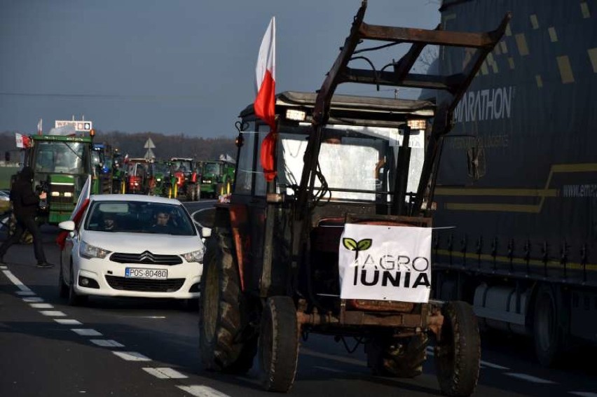 Rolnicy ruszyli! To protest ostrzegawczy: "Dziki i ekolodzy nie mogą być ważniejsi od rolników, którzy karmią naród"