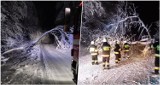 Strażacy usuwają skutki intensywnych opadów śniegu w powiecie przemyskim [ZDJĘCIA]