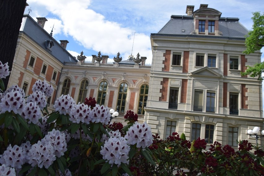 Zamek pszczyński i rododendrony