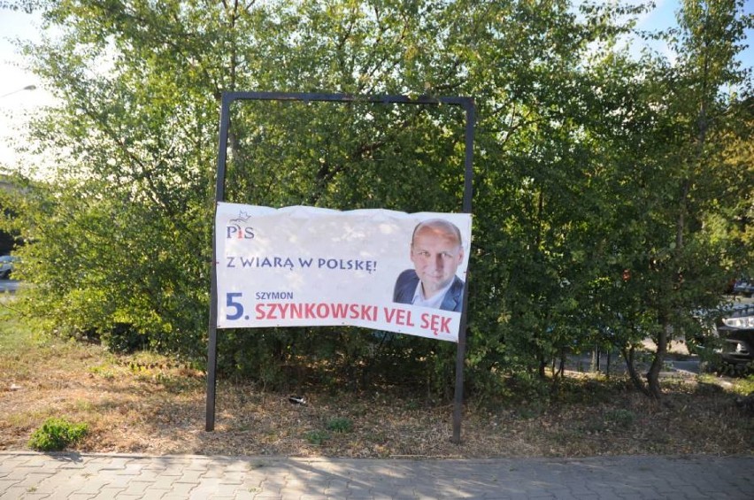 Plakaty wyborcze zaśmiecają Poznań