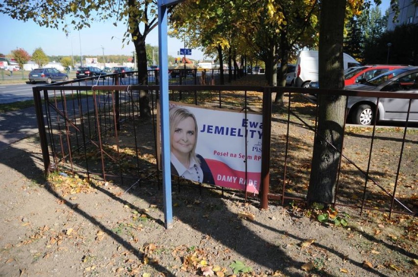 Plakaty wyborcze zaśmiecają Poznań