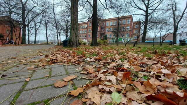 Ciało kobiety znaleziono w parku na Placu Kolejarza w Zielonej Górze