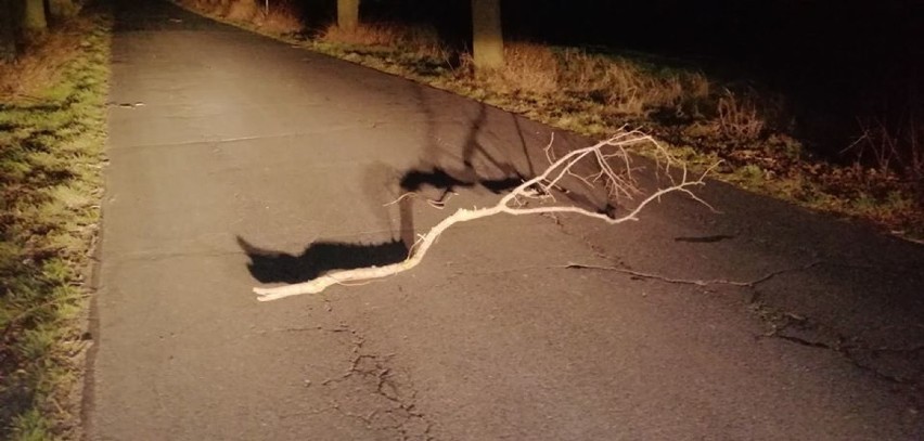 Powiat Gniezno: silny wiatr w niedzielę i poniedziałek