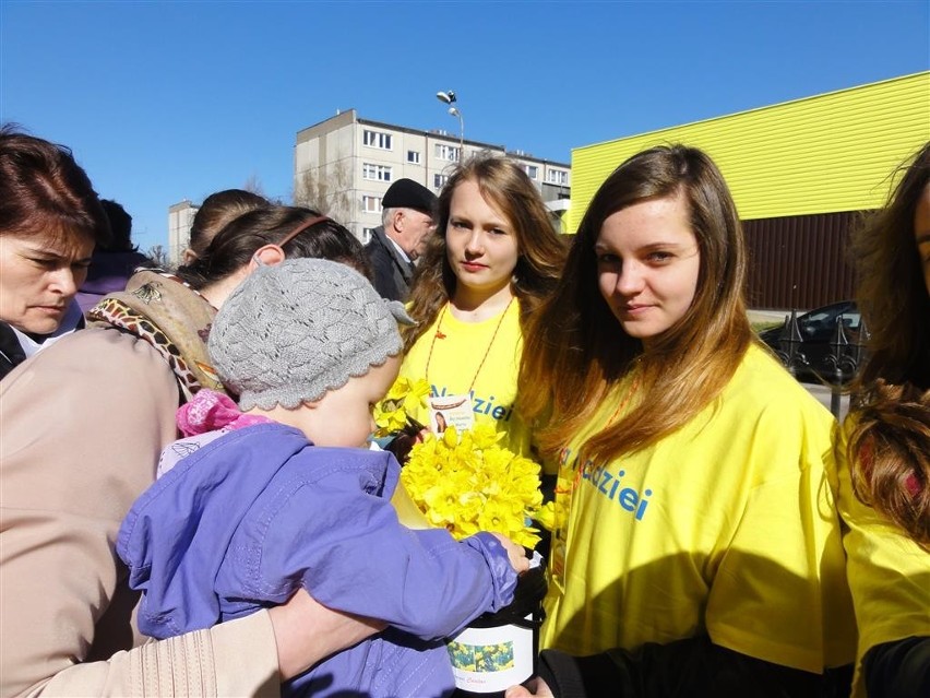 Kartuzy. Pola Nadziei 2013 w powiecie kartuskim - trwa akcja zbierania pieniędzy na hospicja