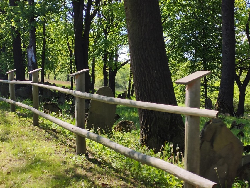 Największy cmentarz żydowski na terenie powiatu jasielskiego znajduje się w Nowym Żmigrodzie. Nekropolia została założona w XVI wieku [FOTO]