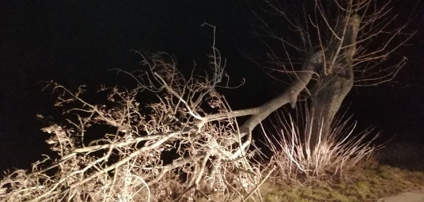 Powiat Gniezno: silny wiatr w niedzielę i poniedziałek