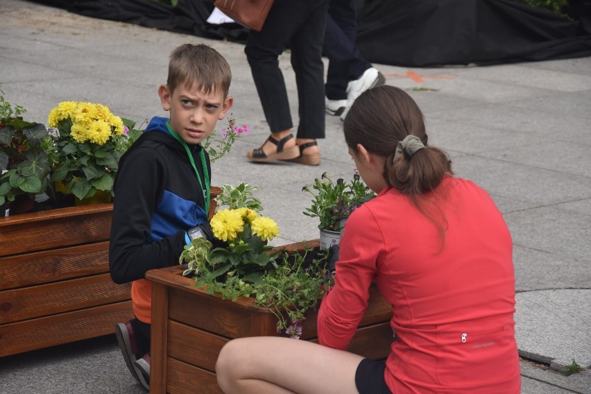 Flower Show w Jastrzębiu to wydarzenie wpisujące się w...