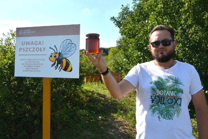 Udane pierwsze miodobranie w Ogrodzie Botanicznym w Kielcach 