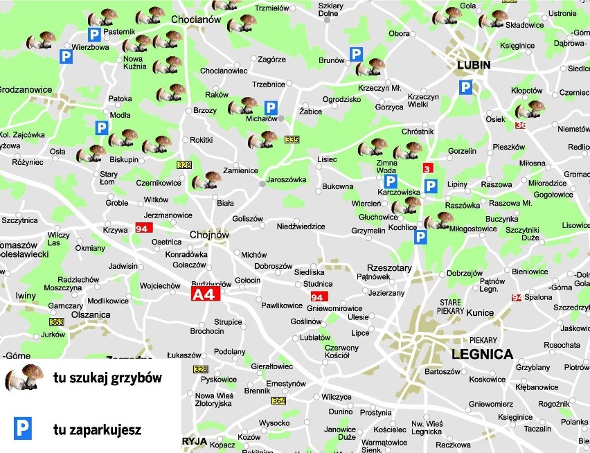 Mapka powstała we współpracy z Regionalną Dyrekcją Lasów...