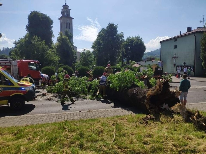 Wypadek w Żywcu. Drzewo runeło na przejeżdżający samochód....