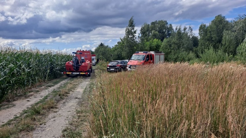 Morderstwo w Pleszewie. Trwają poszukiwania narzędzi zbrodni