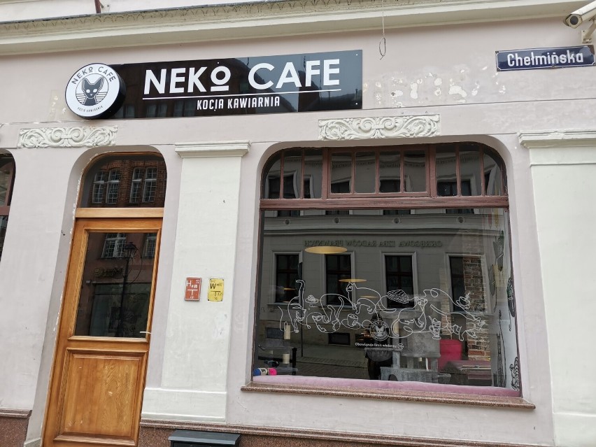 Neko Cafe...