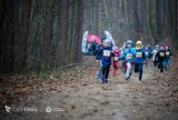 City Trail Trójmiasto. Łukasz Kujawski wygrał w gdańskim lesie, chociaż miał biec nie na najwyższych obrotach