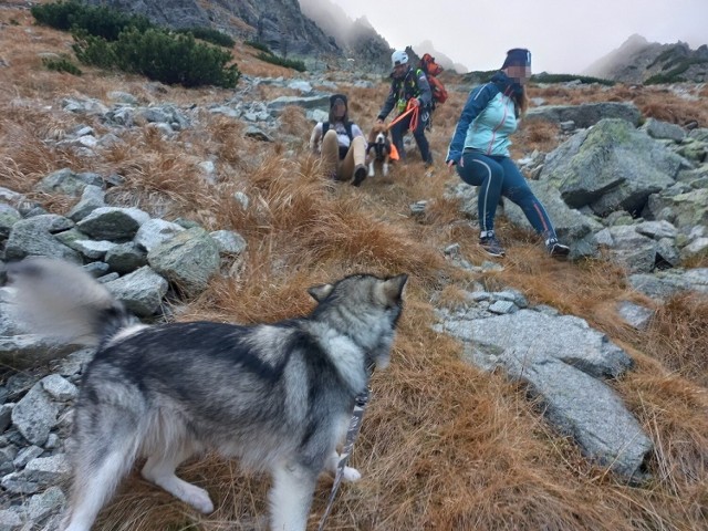Nietypowa akcja ratunkowa w Tatrach Wysokich na Słowacji. Ratownicy musieli śmigłowcem ściągnąć z gór dwie turystki i dwa psy