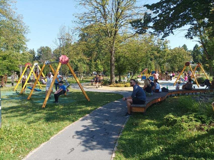 Park Kuronia w Sosnowcu