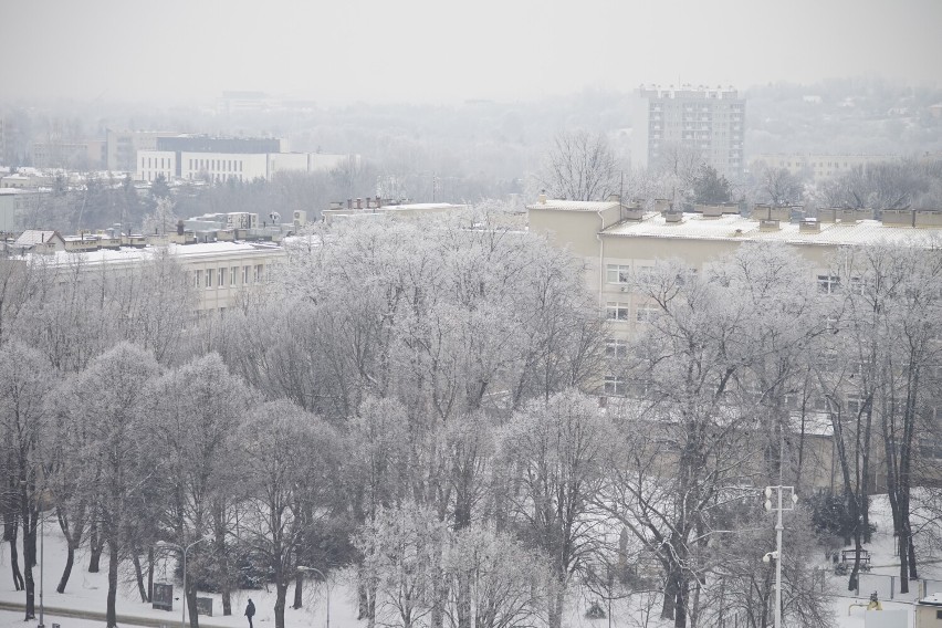 Zima w Rzeszowie ze szczytu wieżowca. Pięknie oszronione drzewa, zamglone wieżowce, wszechobecna biel [ZDJĘCIA]
