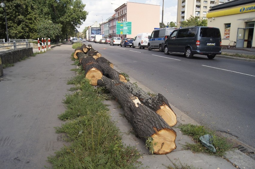 Wycięte drzewa przy ul. Wrocławskiej w Opolu