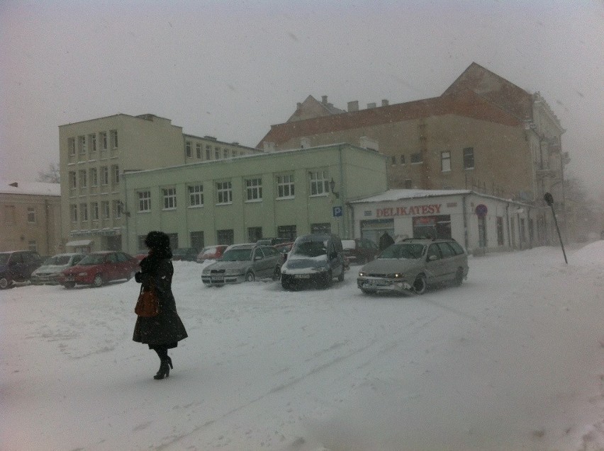 Zamość i region: Zima wróciła, ale najgorsze już za nami. ZDJĘCIA, RELACJA