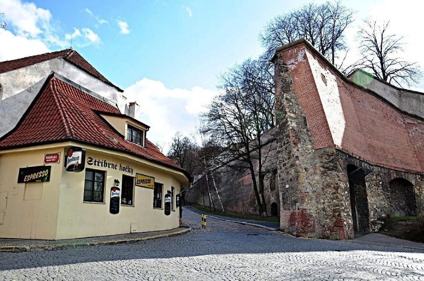 W drodze do klasztoru na Strahowie. Fot. Janina Bieleńko