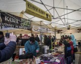 Wystartował Piknik Sopot 2017. Slow food na Placu Przyjaciół Sopotu [ZDJĘCIA]