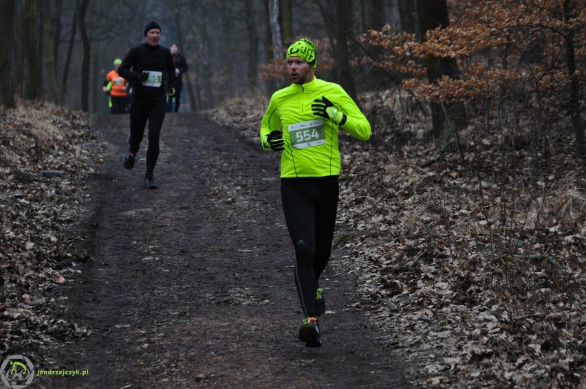 City Trail w Katowicach - zdjęcia z finałowego biegu [28 luty 2016]