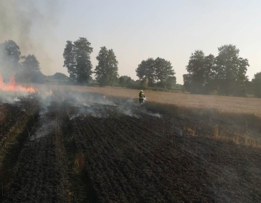 Strażacy oprócz rolniczej maszyny gasili także palące się...
