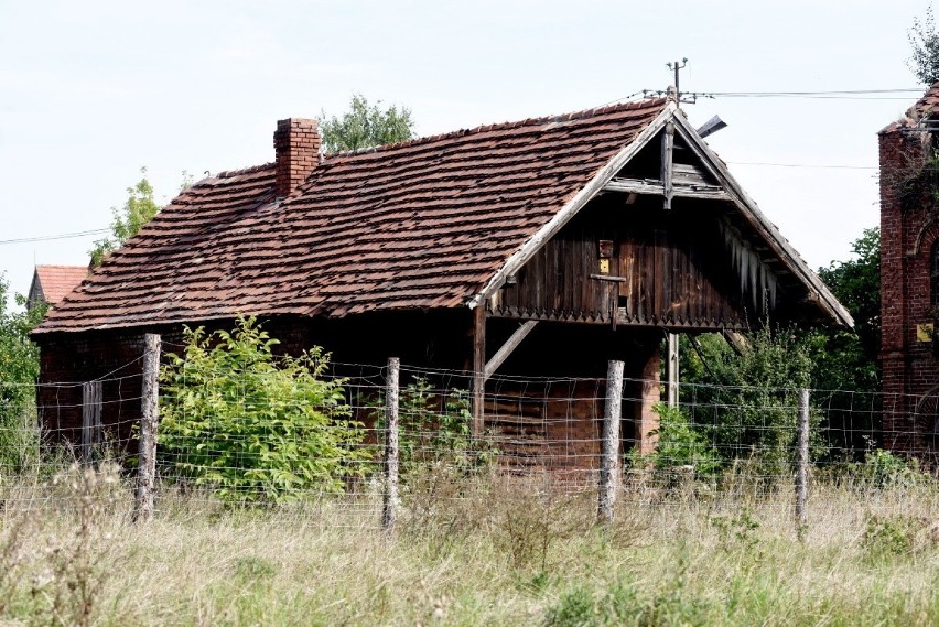  MIĘDZYRZECZ. Magistrat planuje wybudować tu urząd miasta i muzeum. Na razie stary PGR na Winnicy dogorywa. Dookoła morze ruin...