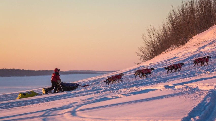 Tak psie zaprzęgi ścigają się w najtrudniejszym wyścigu na Alasce [zdjęcia]