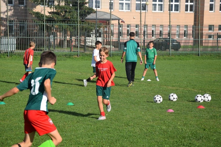 Piłkarska przyszłość z Lotosem. W Nowym Dworze Gdańskim dzieci z roku na rok grają coraz lepiej