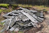 Piotrkowianin odkrył azbestowe wysypisko w środku lasu