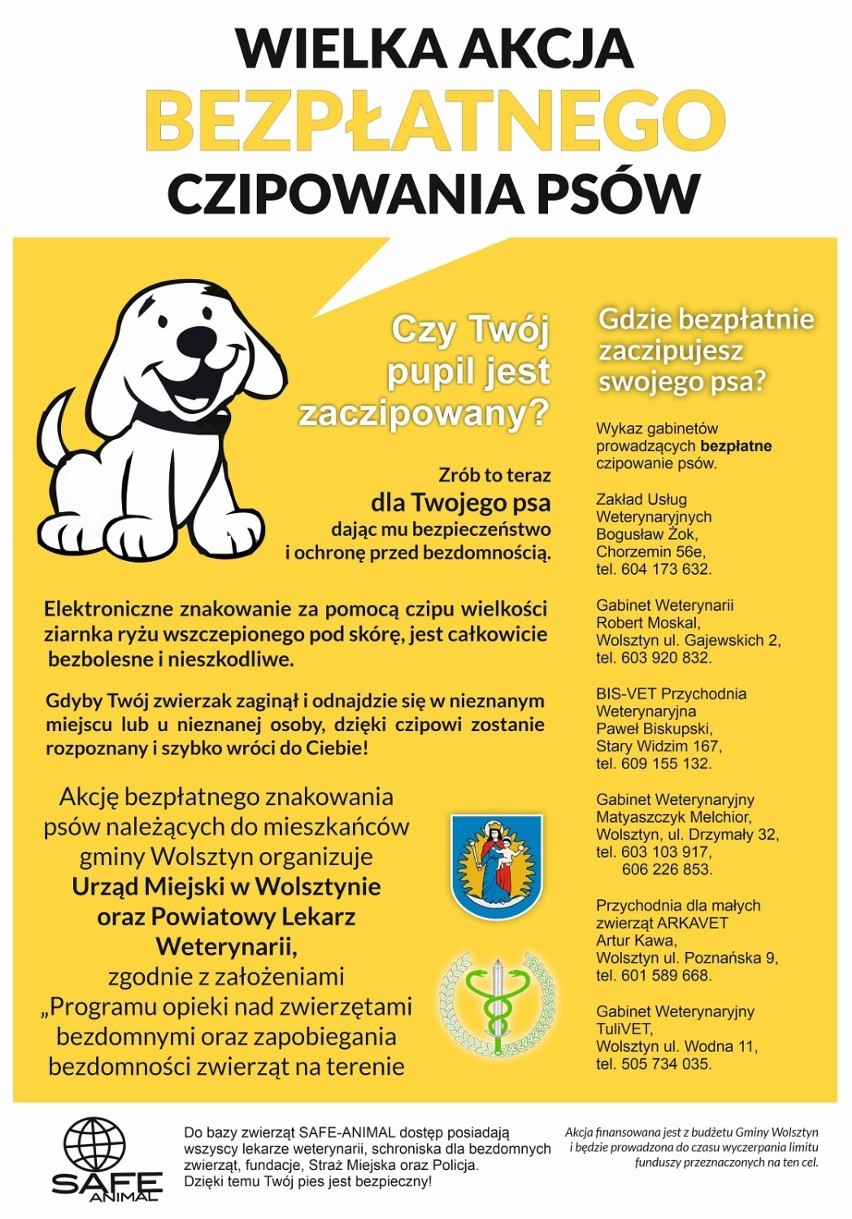 Bezpłatna akcja czipowania psów z gminy Wolsztyn