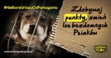 #nieBioręUrlopuOdPomagania, czyli kampania w służbie bezdomnym psiakom