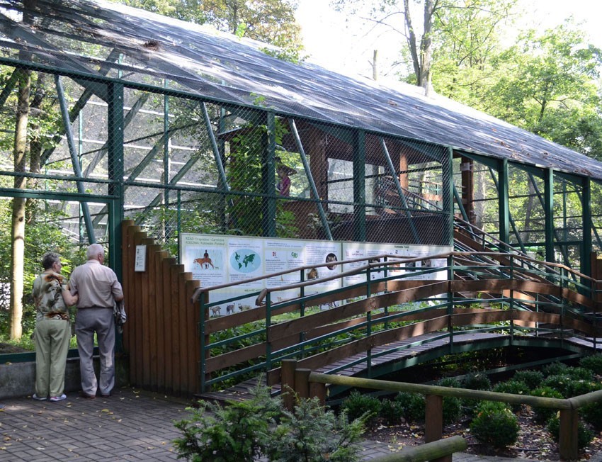 Plany i zmiany w zoo w Łodzi. Nowe wybiegi, woliery i monitoring